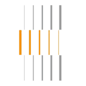 German Academic Scholarship Foundation logo